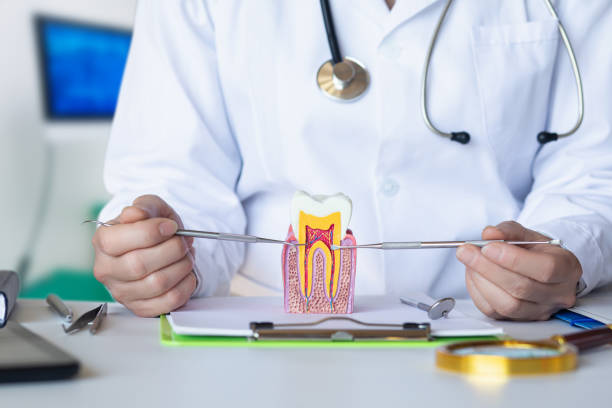 Best Emergency Root Canal Treatment in Goshen, AR